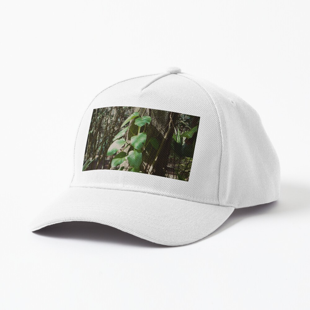 Item preview, Baseball Cap designed and sold by teruyalab.