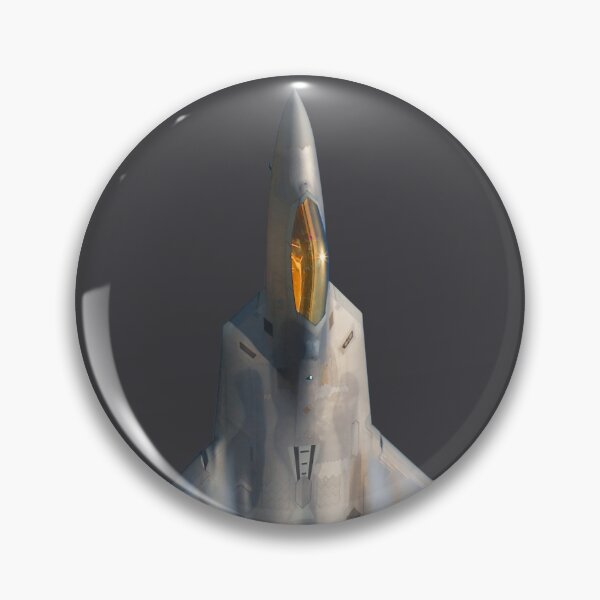 Artikelvorschau, DAS RAPTOR-BIEST - Die F-22 entworfen und verkauft von boltjesdesign.