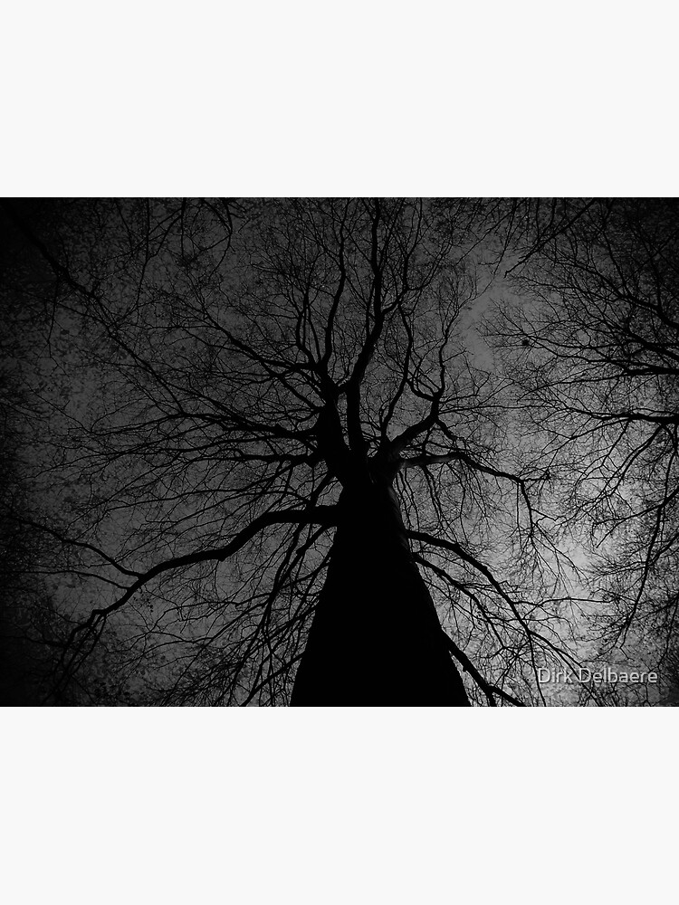 Tree by Delbaere