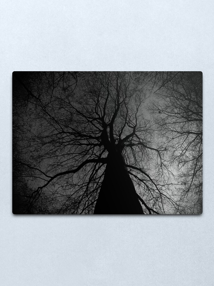 Alternate view of Tree Metal Print