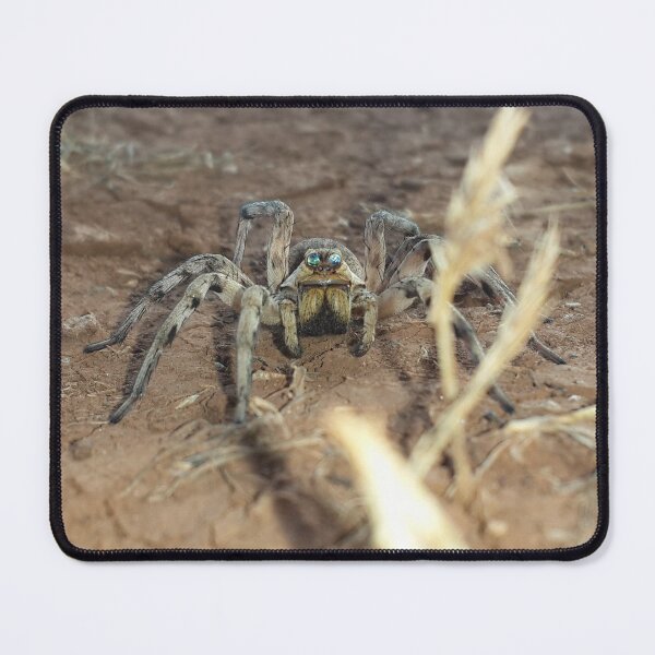 Item preview, eyes of a spider designed and sold by Ou Hammani.