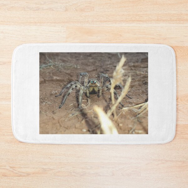 Item preview, eyes of a spider designed and sold by Ou Hammani.