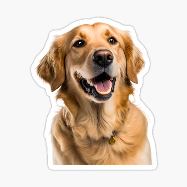 Artikel-Vorschau von Golden Retriever - Hunde, Haustiere, designt und verkauft von BarkStreetWear.