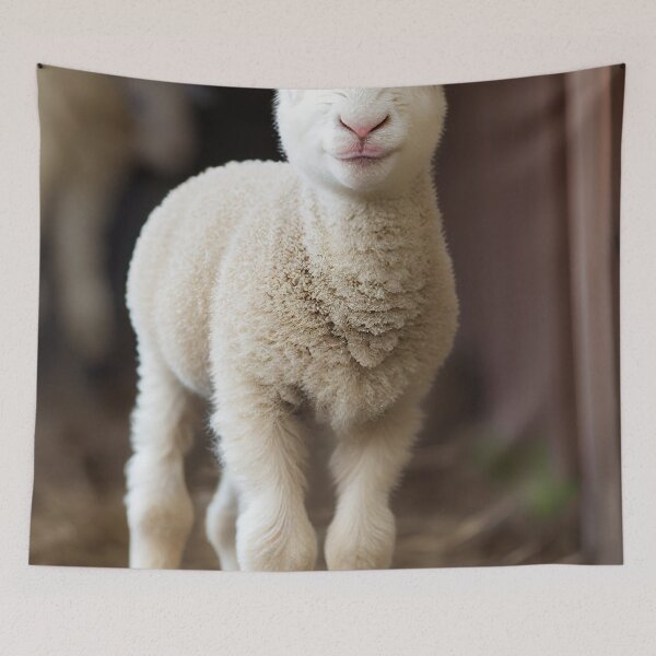 Aperçu de l'œuvre Baby Lamb créée et vendue par DigitizedArt.