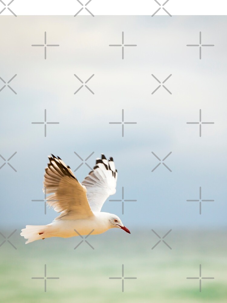 Bird Flying Over Ocean by THPStock