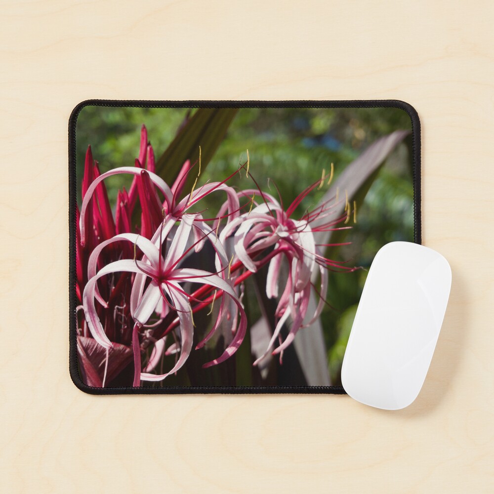Item preview, Mouse Pad designed and sold by teruyalab.