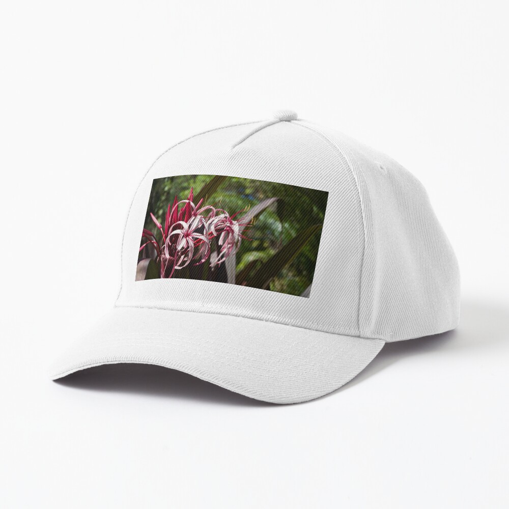 Item preview, Baseball Cap designed and sold by teruyalab.