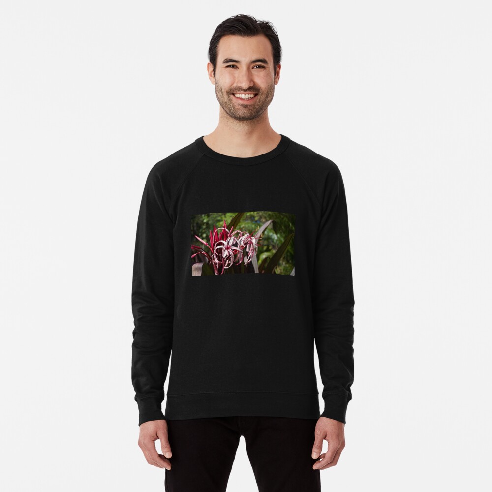 Item preview, Lightweight Sweatshirt designed and sold by teruyalab.
