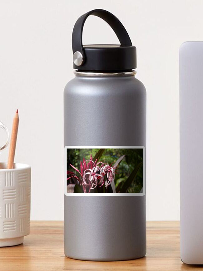 Thumbnail 1 of 3, Sticker, PURPLE PINK FLOWER LEU GARDENS ORLANDO FLORIDA designed and sold by teruyalab.