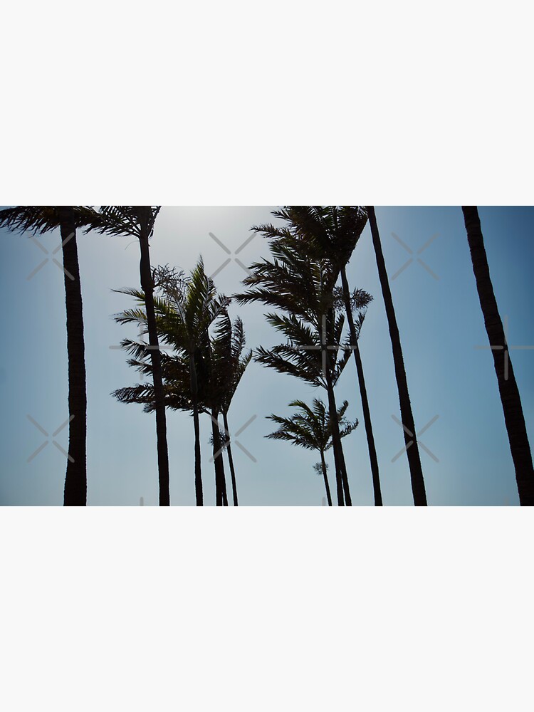 Thumbnail 3 of 3, Sticker, NAPLES FLORIDA BEACH OCEAN PALM TREES designed and sold by teruyalab.