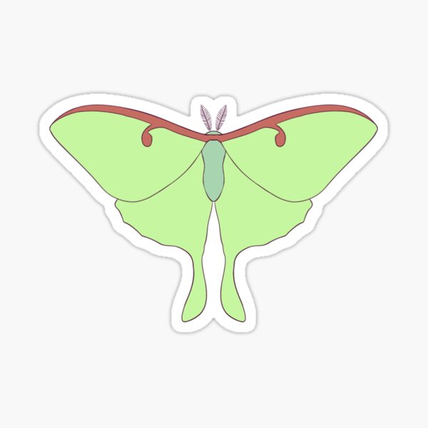 Simple Luna Moth Sticker