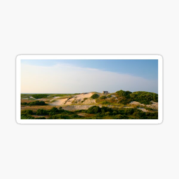 Provincetown Dunes Sticker