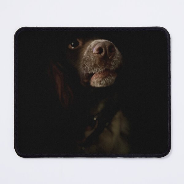 Item preview, Dougie designed and sold by kalwhite.