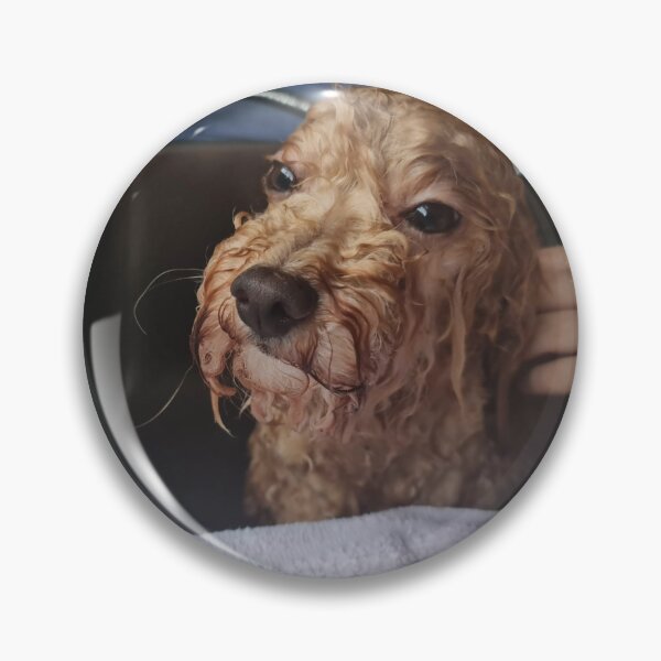 Item preview, funny dog getting washed designed and sold by ChalkAboutIt.