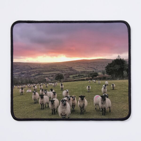 Item preview, Afterglow flock designed and sold by Phil Hemsley.