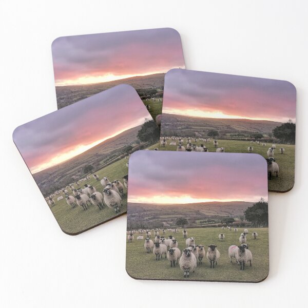 Item preview, Afterglow flock designed and sold by Phil Hemsley.