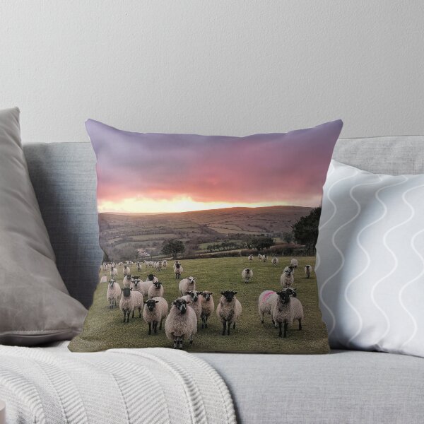 Item preview, Afterglow flock designed and sold by Phil Hemsley.