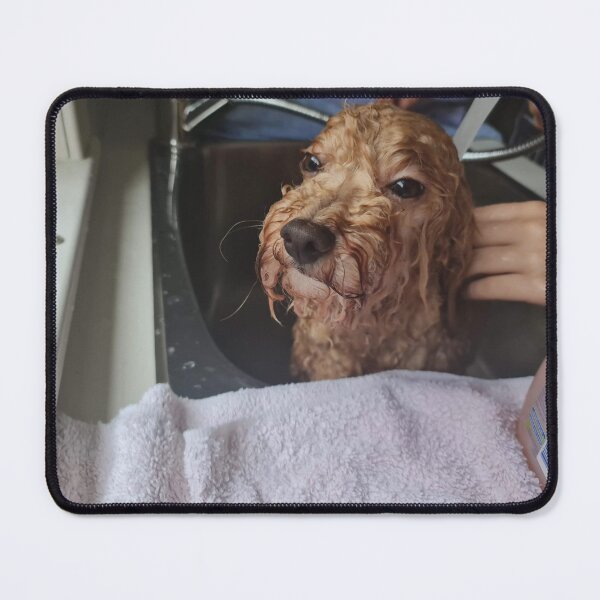 Item preview, funny dog getting washed designed and sold by ChalkAboutIt.