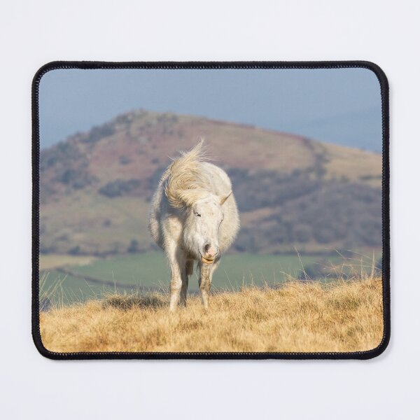 Item preview, Mane event designed and sold by Phil Hemsley.