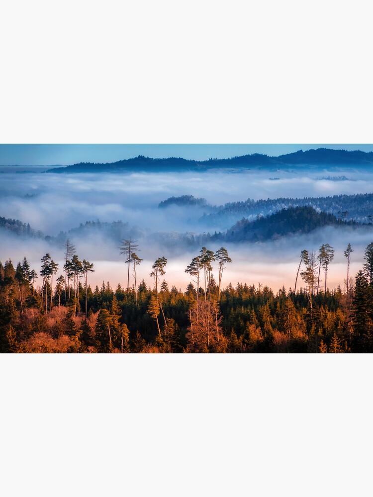 Make me a nature sticker with a forest and a mountain on Craiyon