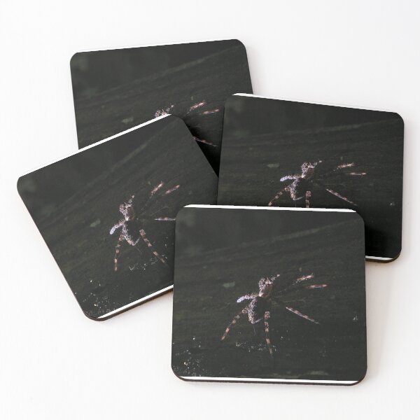 Item preview, Quiet In the Dark designed and sold by Carla Wick/Jandelle Petters.