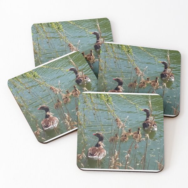 Item preview, Ducks in Little Chesterfield Pond. Essex, England designed and sold by Igor Pozdnyakov.