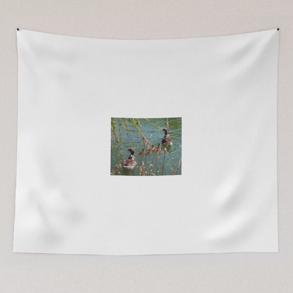 Item preview, Ducks in Little Chesterfield Pond. Essex, England designed and sold by Igor Pozdnyakov.