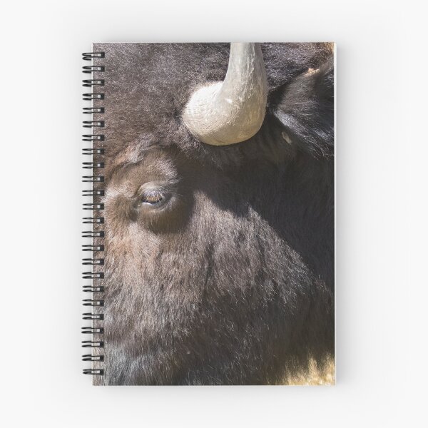 Item preview, Bison designed and sold by SoulMatesPhoto.