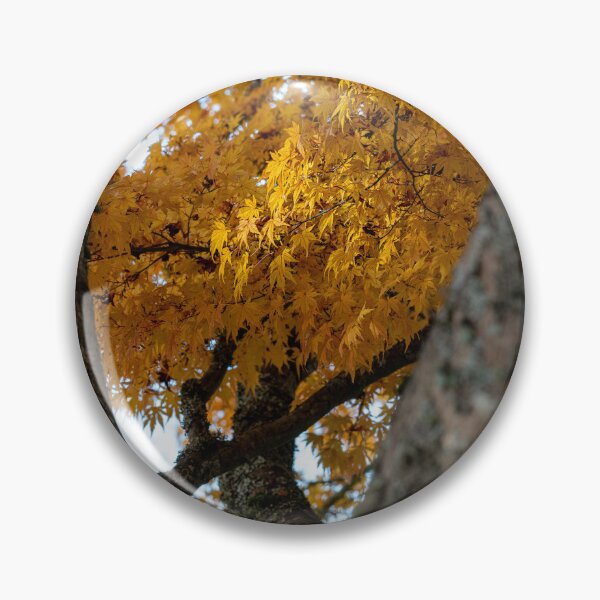 Item preview, Japanese Maple in Fall designed and sold by Wilson Mitchell.