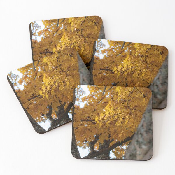 Item preview, Japanese Maple in Fall designed and sold by Wilson Mitchell.