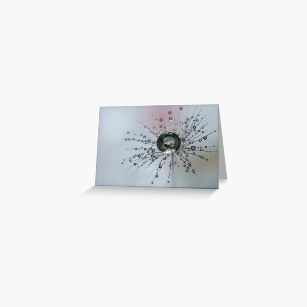 Dandelion Drop Ball Greeting Card
