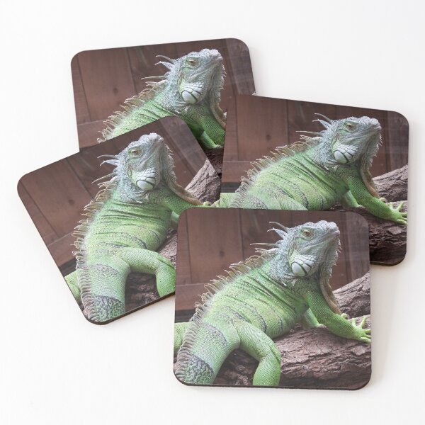 Item preview, Pretty Awesome looking Iguana designed and sold by aligata1970.