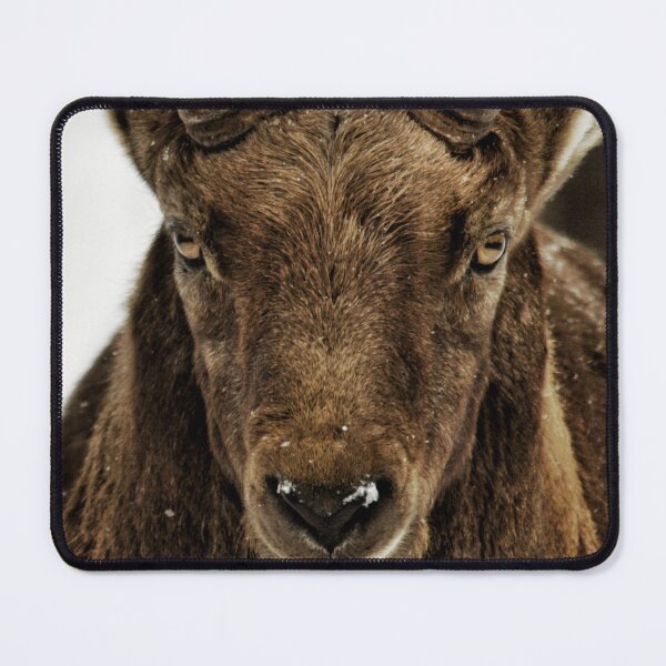 Item preview, Evil Alpine Ibex designed and sold by photobypj.