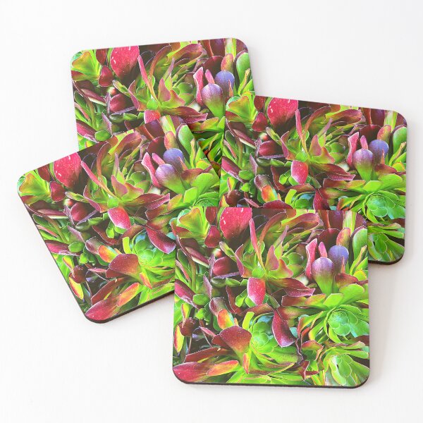 Item preview, Vibrant Irish Rose Succulent Texture designed and sold by Merethe Soltvedt.