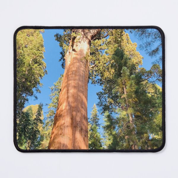 Item preview, General Sherman Sequoia Tree designed and sold by kevinmeskilart.