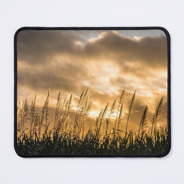 Item preview, Sugarcane Sunset designed and sold by Kate Powick.