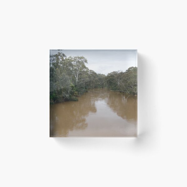 Item preview, Our very Brown Yarra designed and sold by Kevin Bergin.