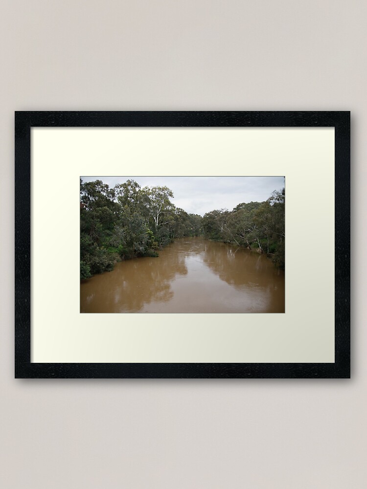 Thumbnail 1 of 7, Framed Art Print, Our very Brown Yarra designed and sold by KevinBergin.