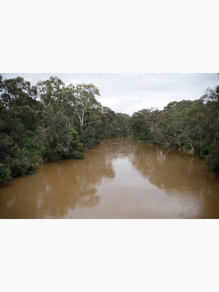 Thumbnail 7 of 7, Framed Art Print, Our very Brown Yarra designed and sold by KevinBergin.