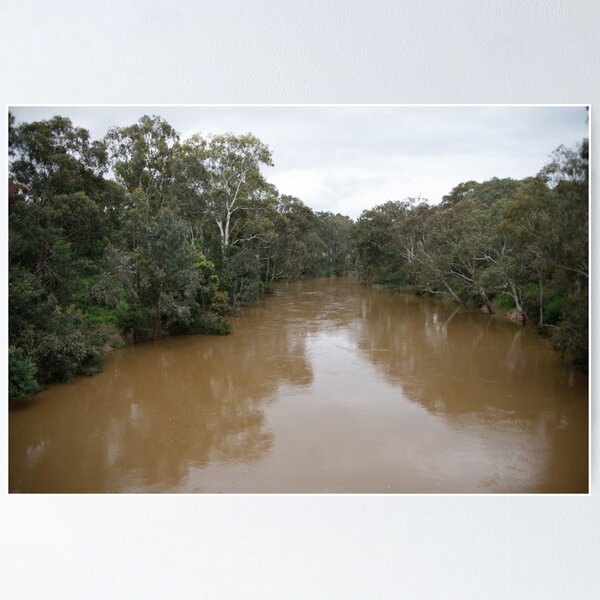 Item preview, Our very Brown Yarra designed and sold by Kevin Bergin.