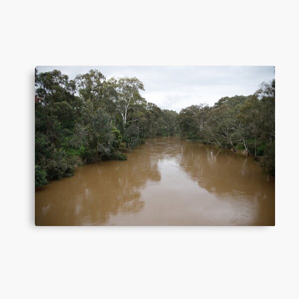 Item preview, Our very Brown Yarra designed and sold by Kevin Bergin.