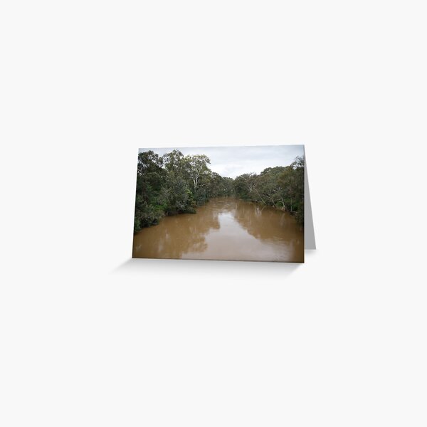 Item preview, Our very Brown Yarra designed and sold by Kevin Bergin.