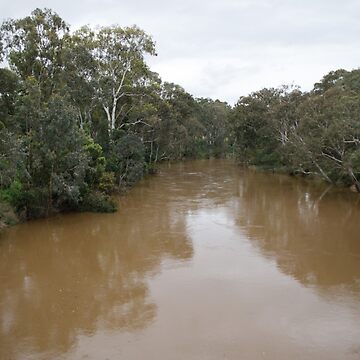 Artwork thumbnail, Our very Brown Yarra by Kevin Bergin