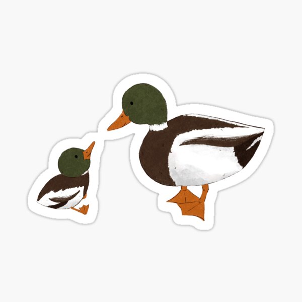 Lucky Ducks - 13 Adorable Duck Pins, Magnets, Washi & More by