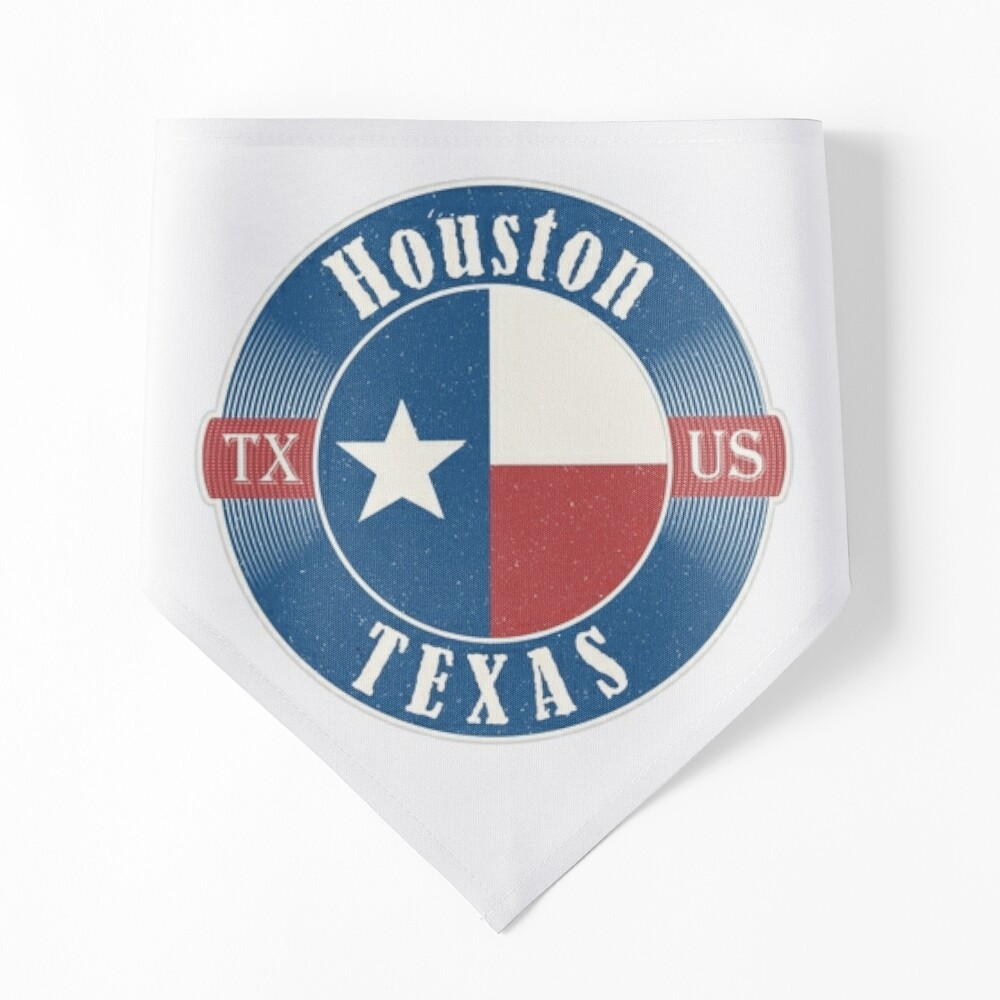 Dallas City Flag - Color - Distressed - Removable Patch