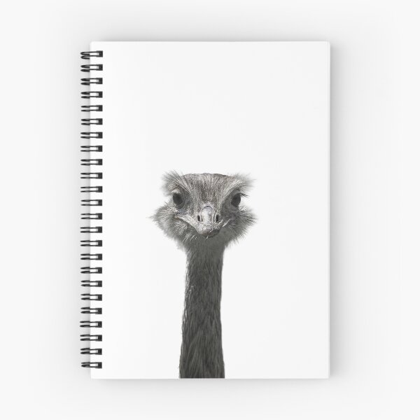 Item preview, funny ostrich designed and sold by Shadow3561.