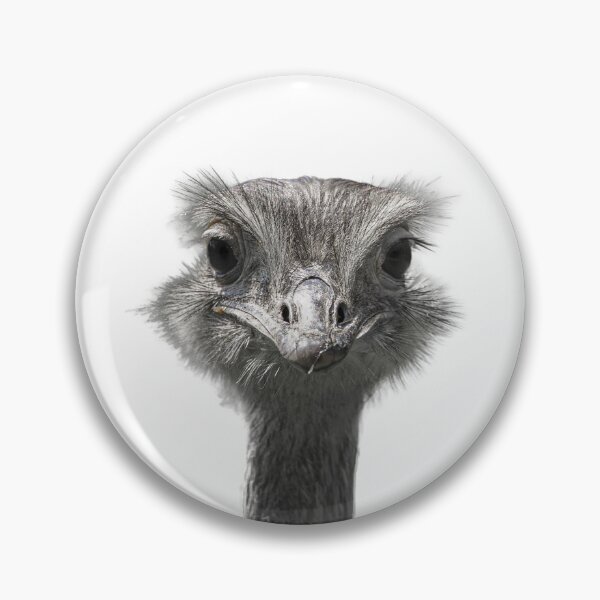 Item preview, funny ostrich designed and sold by Shadow3561.
