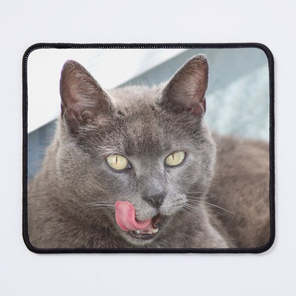 Item preview, Hungry Kitty designed and sold by Submariner °.