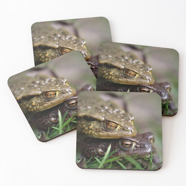 Item preview, Common toads on route to the breeding pond. designed and sold by Christian Moss.