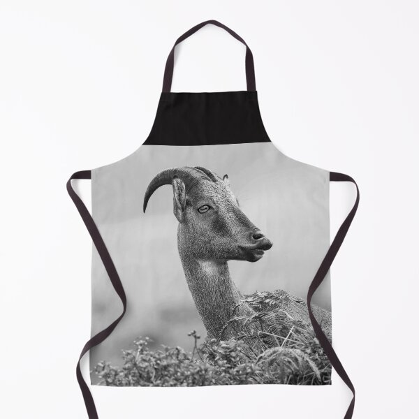 Item preview, Majestic Posture designed and sold by Puttaswamy Ravishankar.